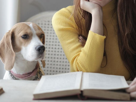 What if I Don't Have Any Interesting Stories to Tell?