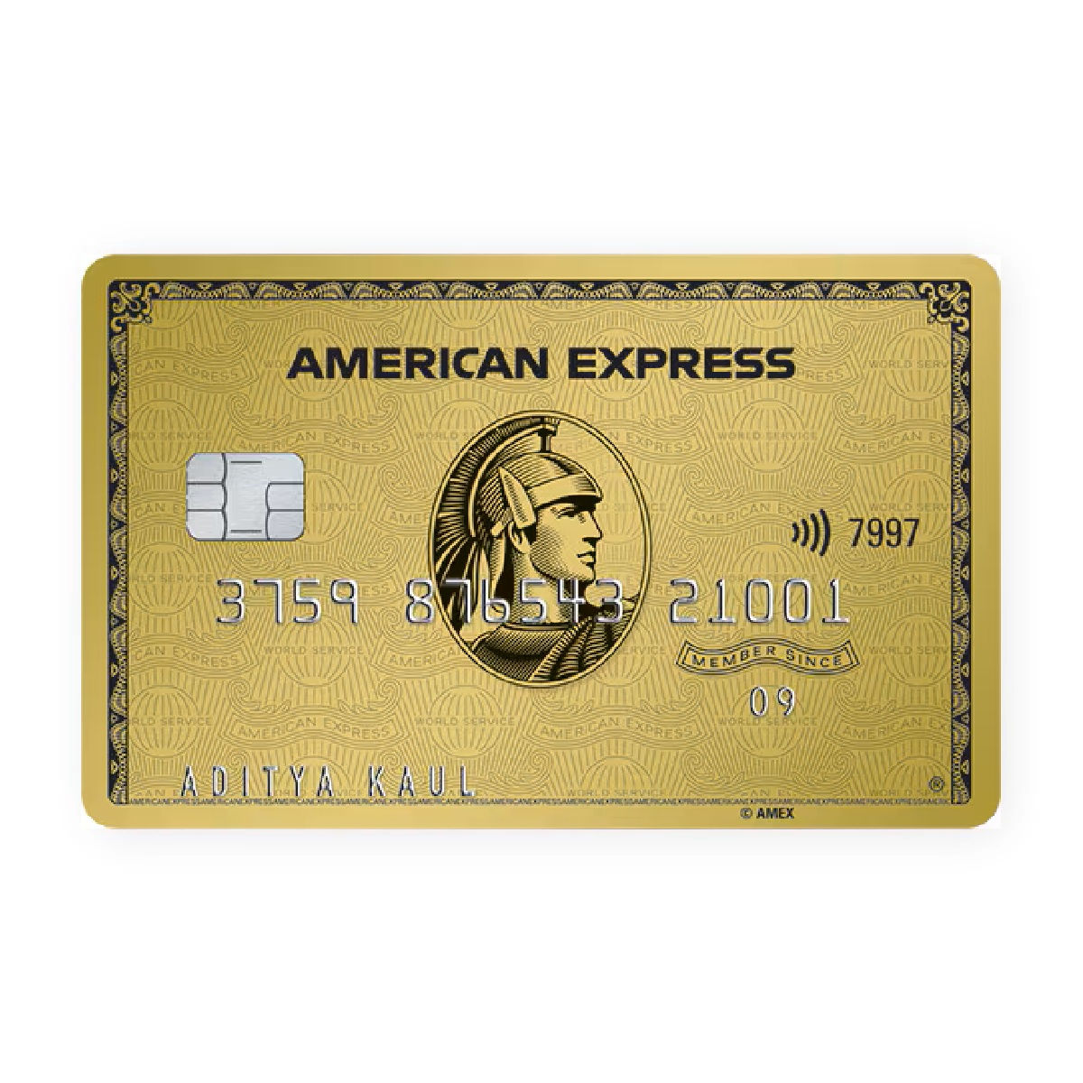 American Express Gold Credit Card Skin