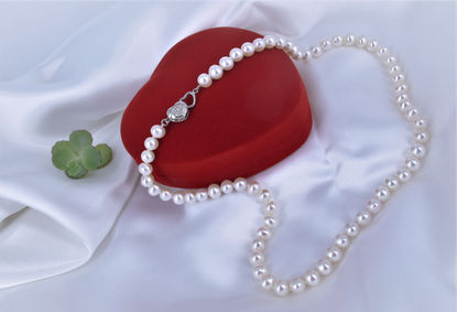 Explore JC 61 Tent treasure - Pearl Jewelry collection , we blend personal expression with inspiring jewelry and fashion pieces. Whether you're dressing up or keeping it casual, let your style reflect your beliefs with personal style and unique gift.