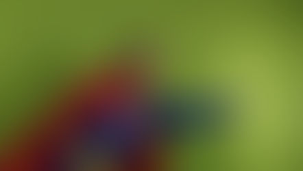 Green Screen and Overlays (Week 5 - 12/10/21)