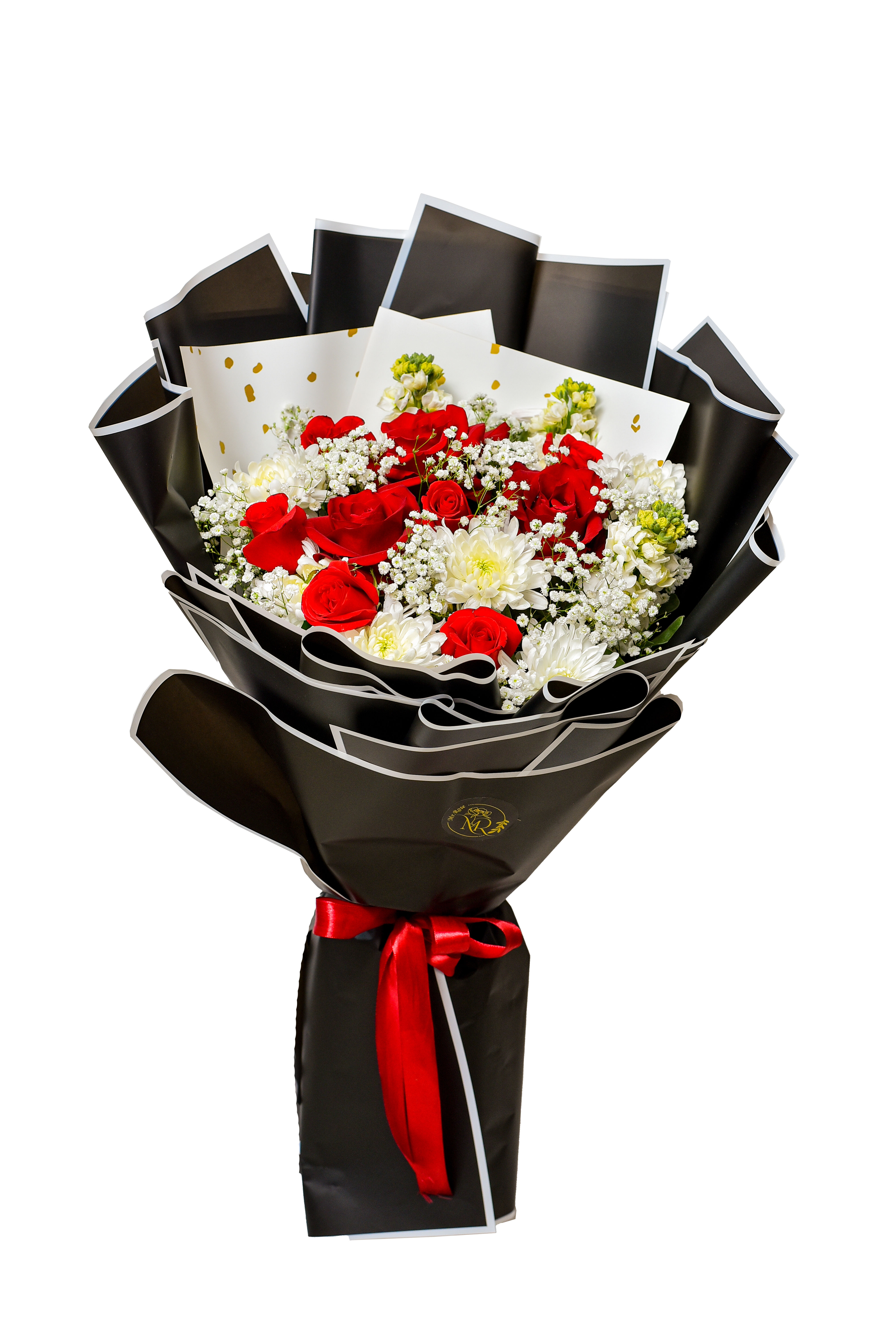 Velvet Night Premiere