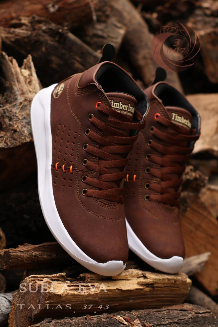 BOTIN TIMBERLAND