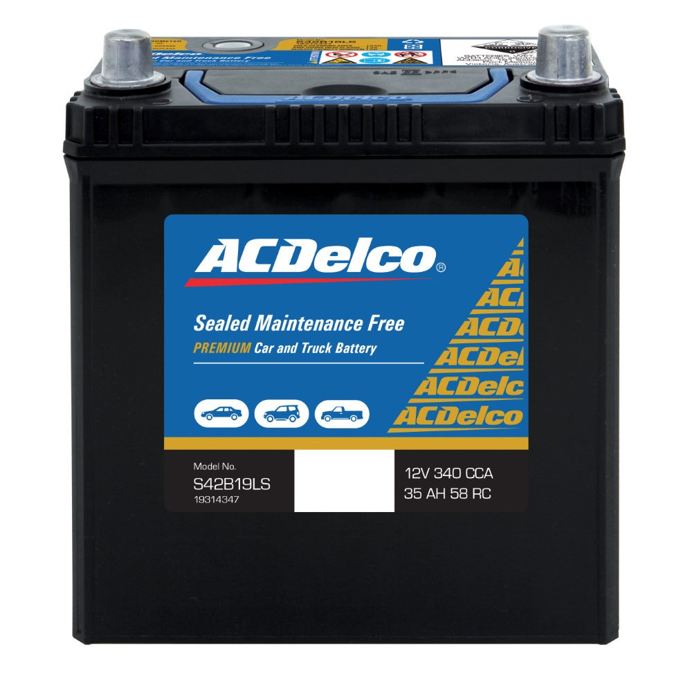 ACDelco Car Battery S42B19LS