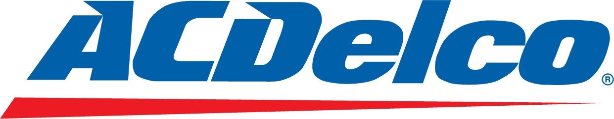 ACDelco Car Battery S42B19R