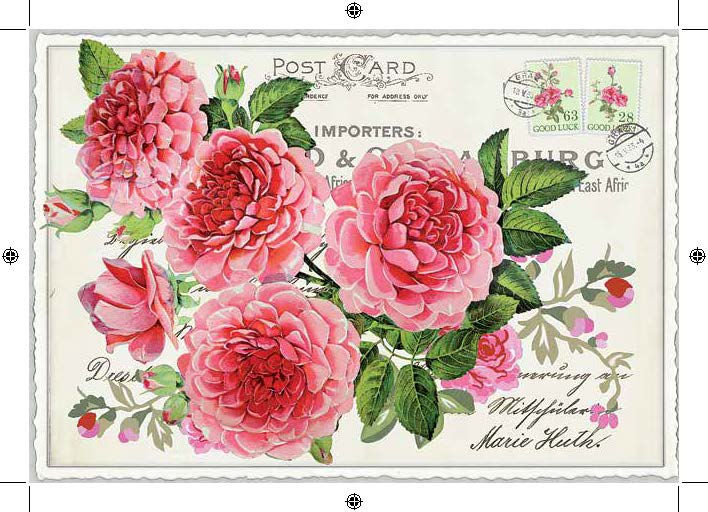BB-Everyday Flowers Roses I