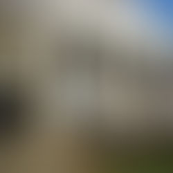 10th Annual HOLLYFEST