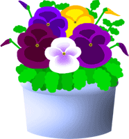 pansy-clipart-niXB6AGiB