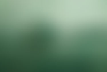 TOROS, HOSTIAS Y UNA TELE CIEGA