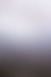 Mi brillante criterio inmobiliario