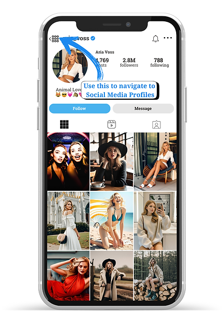 Profiles Instagram (4).png
