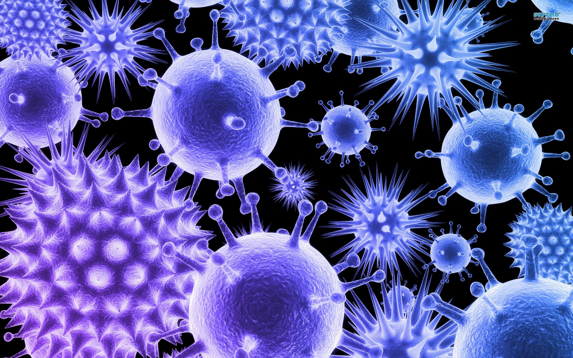 Virus Zb-1