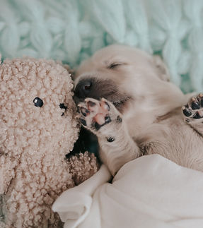 WhatsApp Image 2026-01-08 at 11.23.17.jpeg