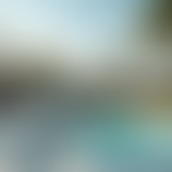 Servicios de Asesoría en Florida: Conoce YTRIOS