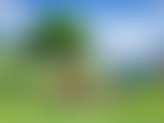 大陸誌:戦士の村の司祭、アデリアとイスラ