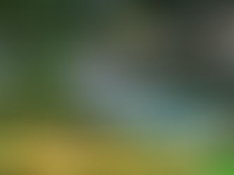 Start of season board sale, limited time.