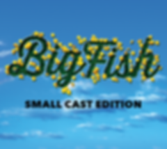 big-fish-small-thumbnail.png