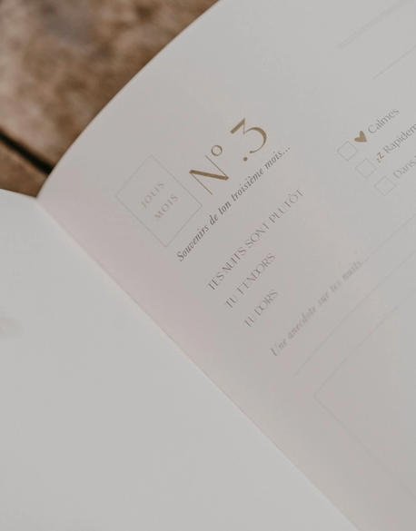 Miniature : Livre de naissance