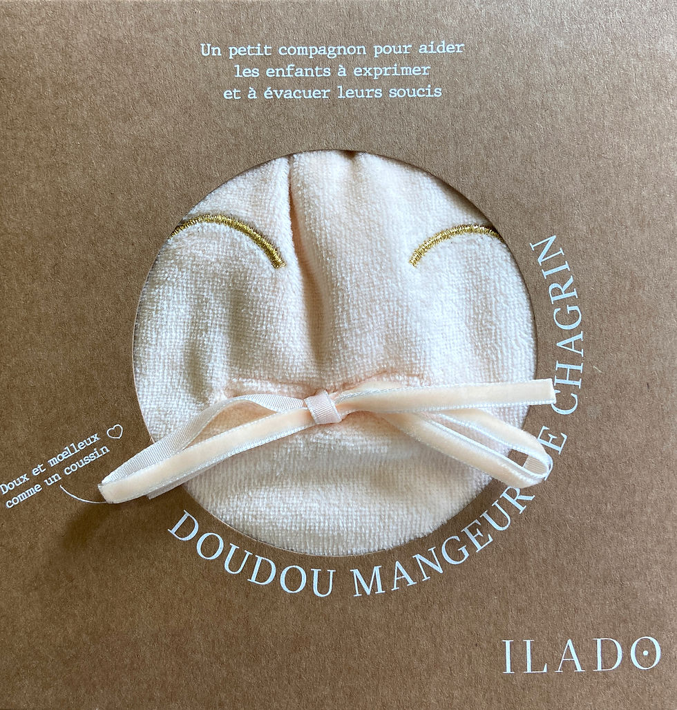 Thumbnail: Doudou mangeur de chagrins