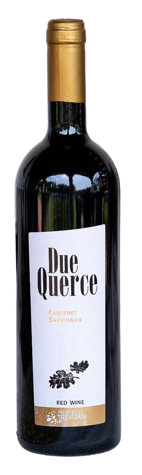 VinorossoCabernetSauvignonTrevisaniLagodiGarda
