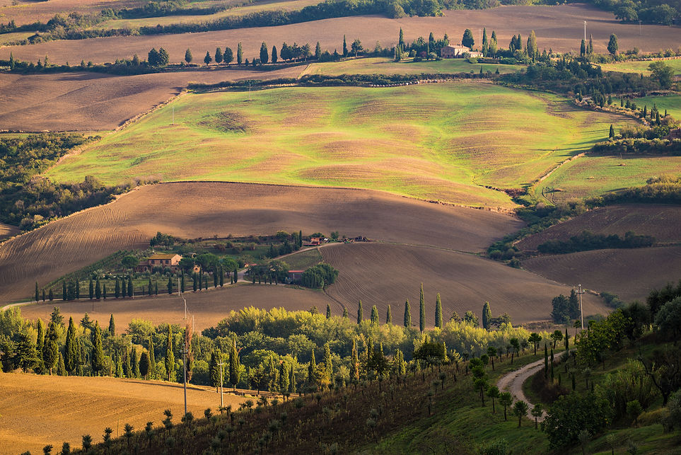 Tuscany Tours.jpg
