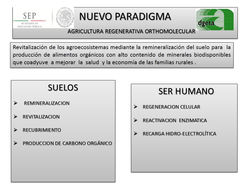 Diapositiva20.JPG