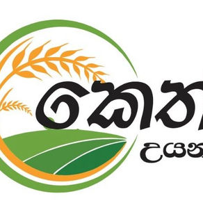 Keth Uyana - Ongoing Project 2025