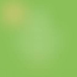 CleaningFellows schoonmaak medewerkers van de maand