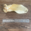 Thumbnail: Goats Ear