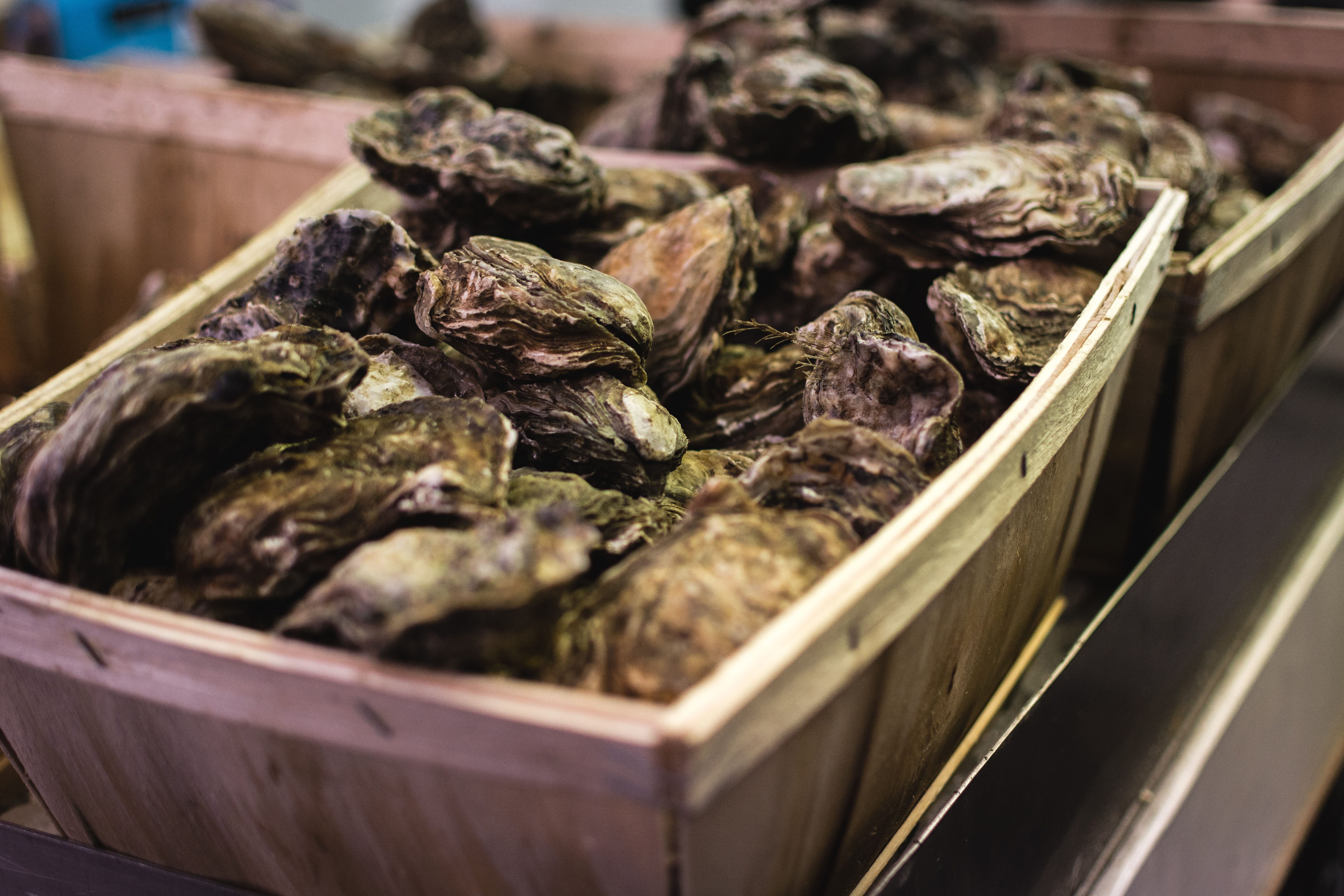 Huitres Bretonnes No2