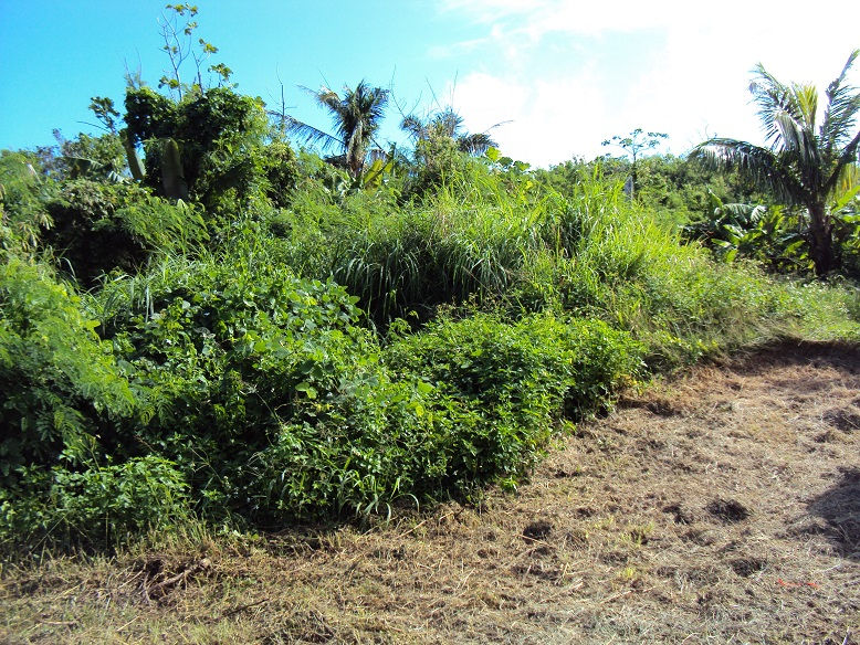 Saipan Land for Sale spicnmi
