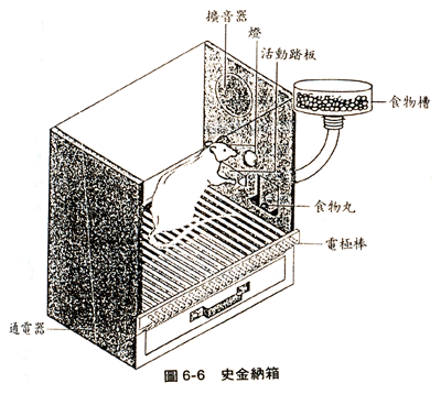 06-02-02-01a.gif