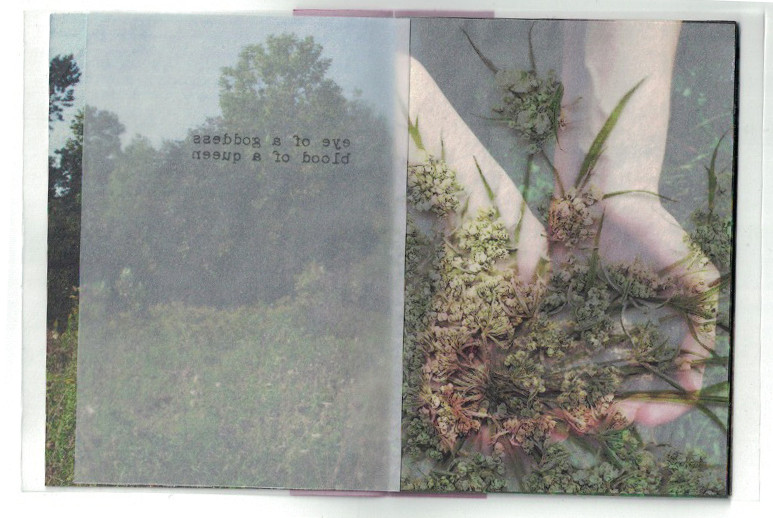 Asoaw. By Emma Percy