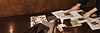 ChatGPT Image Sep 13, 2026, 12_14_19 PM.png