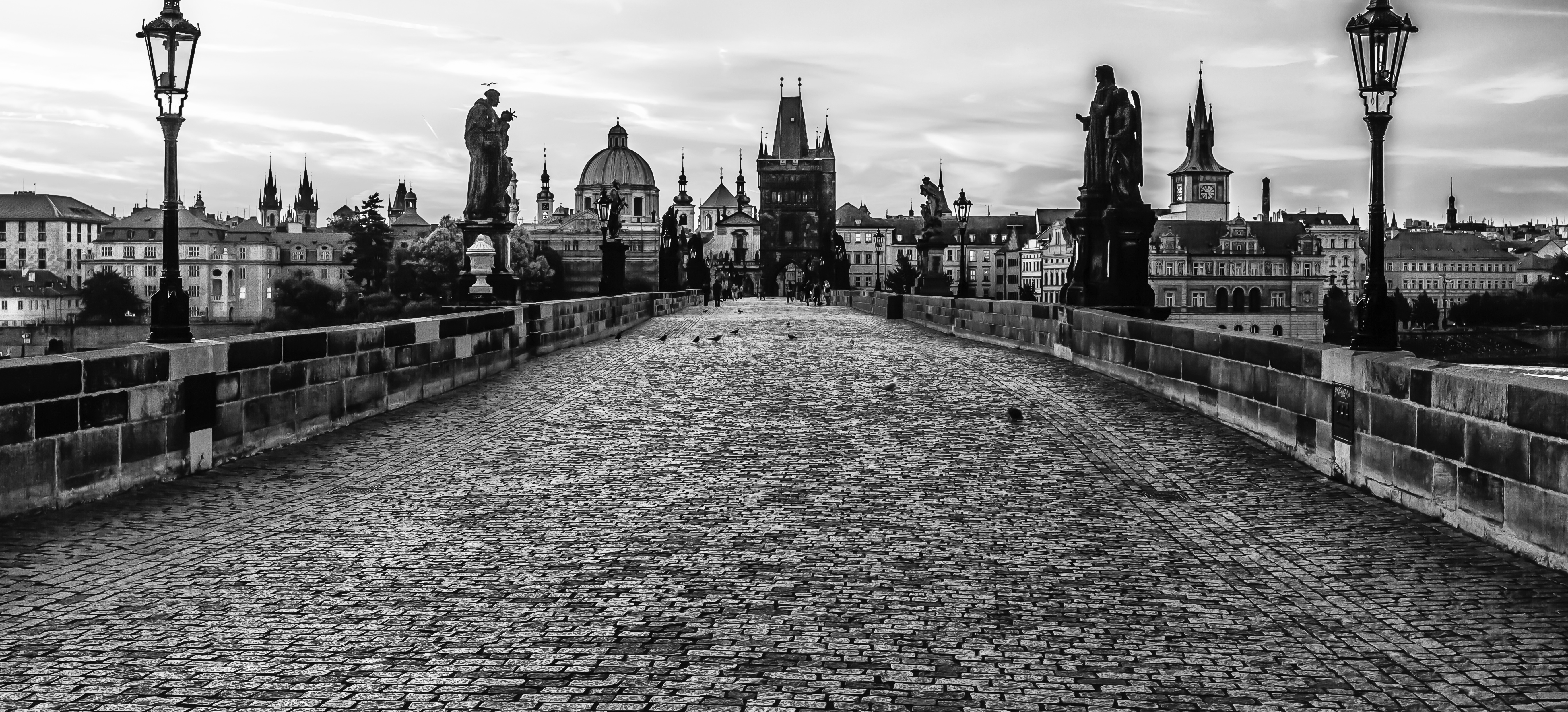 Prague Bridge