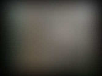 Spirit Bear by Ellie Lagrandeur Limited Edition Canvas Print