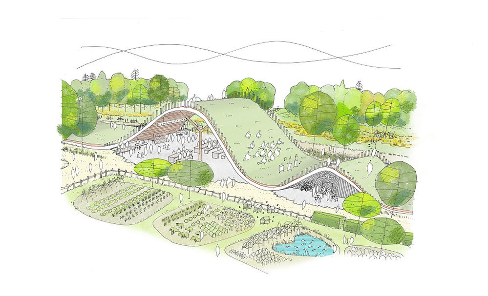 Landscape competition