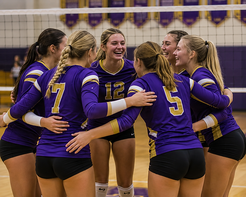 volleyball.png