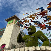 IMG_1064-scaled.jpeg