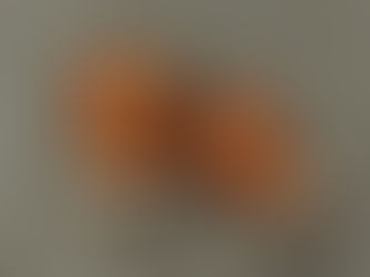 El Ring de la vida. Detrás de cada día las contradicciones que nos hacen crecer.