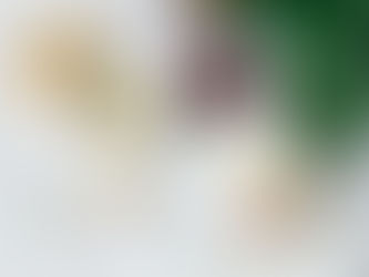 Evolución no siempre significa progreso.