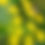 Thumbnail: Golden Alexander