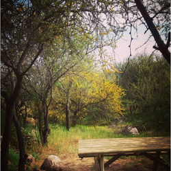 Parque Quebrada Los Cardos