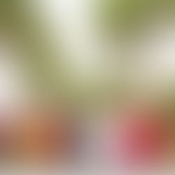 Stéphie & Jean-Luc, les Intemporels