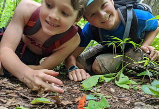 Naturalist Youth Camp
