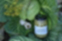 SoilShine(39).JPG