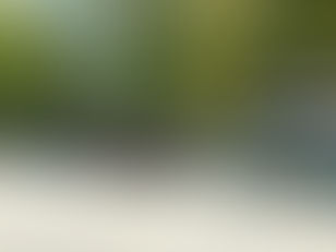 El CC con la Guardia Civil en el día de su Patrona