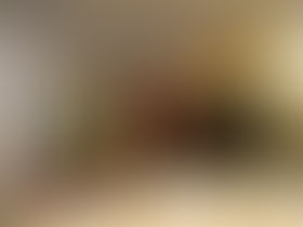 Encuentros con Acción Exterior- DGA