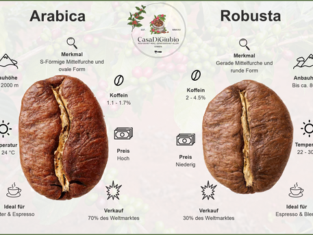 Arabica vs. Robusta: Der ultimative Kaffeevergleich!