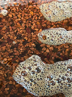 Cocoa Nibs!