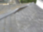 DSCN2339